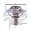 GAZ 130610001 Thermostat, coolant